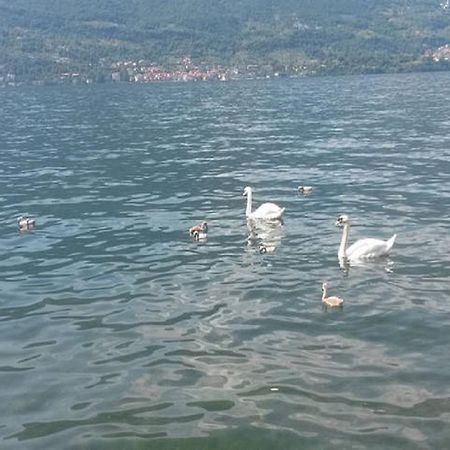 Appartamento Vista Lago - Betta 勒泽诺 外观 照片