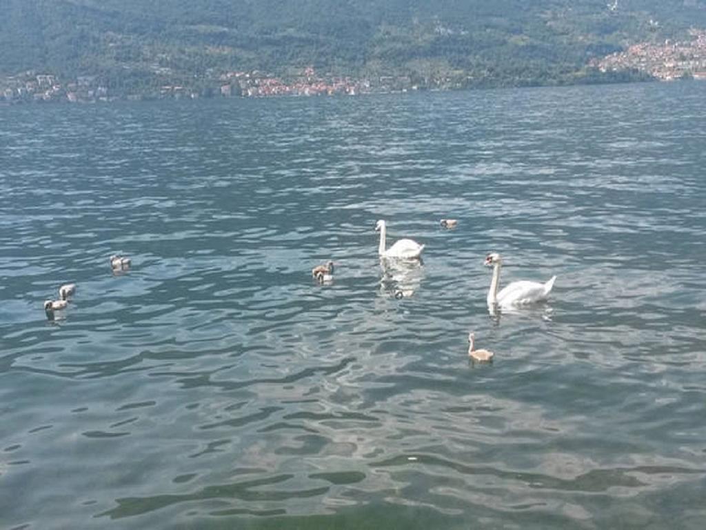 Appartamento Vista Lago - Betta 勒泽诺 外观 照片